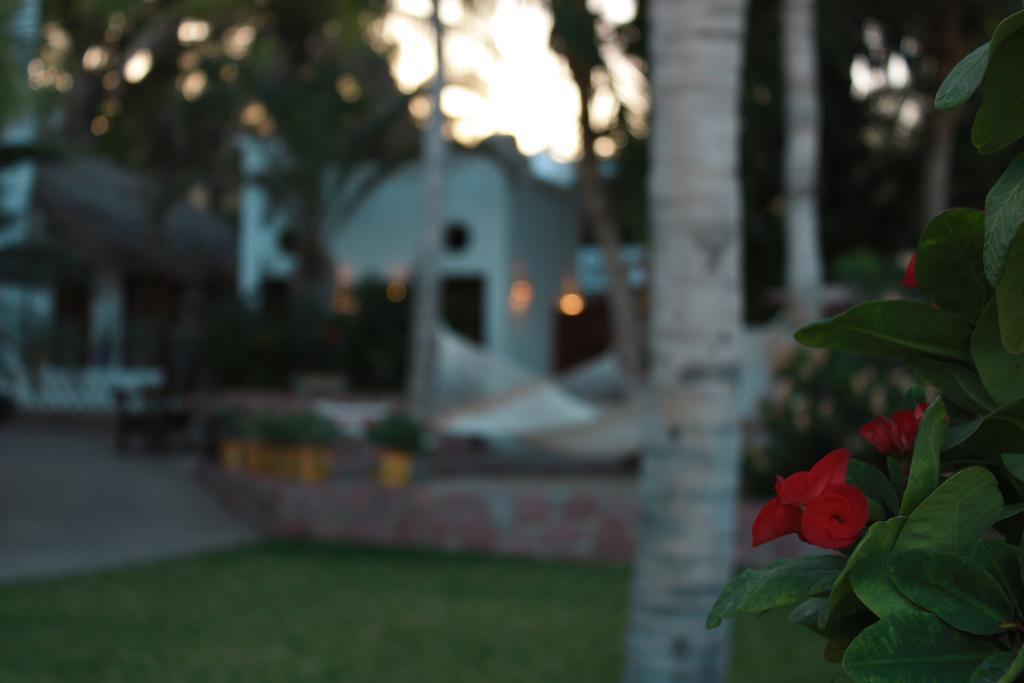 Casa Costa Azul Hotel San José del Cabo Exterior photo
